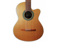 Paco Castillo 220 CE Equalizador Cutaway Cedro Sapele Paco Castillo 220 CE Equalizador Cutaway Cedro Sapele